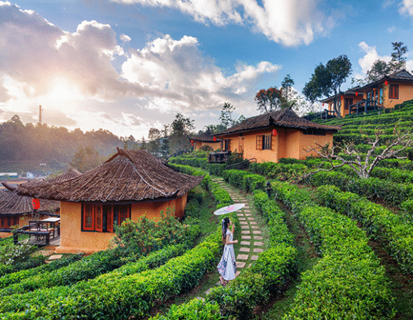 Kerala Quick Escape 2 Nights/3 Days