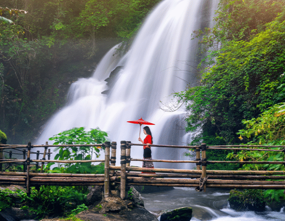 Kerala Calm 2 Nights/3 Days