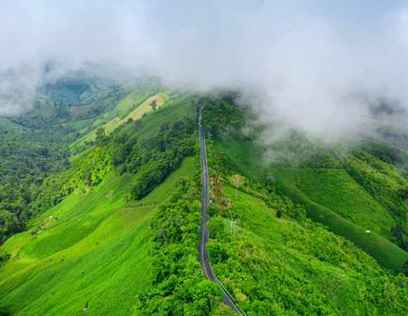 Coastal Kerala 2 Nights/3 Days