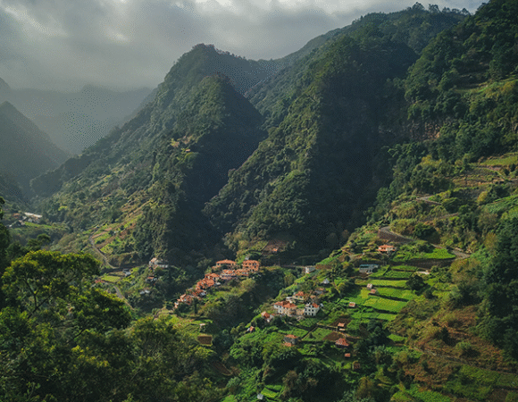 Classic Kerala Escape 3 Nights/4 Days